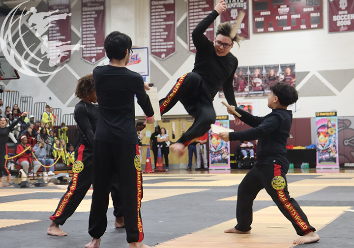 Martial Arts World Demo Team